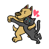 Loving cat & dog