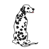 Dalmatian