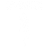 Salamandre blanche