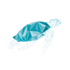 Turtle polygon