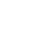 bus driver