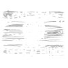 geocachers