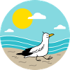 Seagull at the sea
