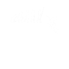Evolution du ski