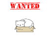 CAT SCHRöDINGER