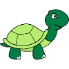 schildkroete_002