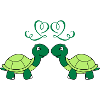 schildkroeten_verliebt_002