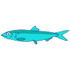 Herring