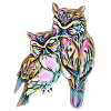 owls
