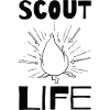 SCOUT: Scout Life