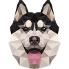 Husky Polygon Hund Dog