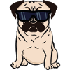 Pug pug terminator hund solbriller gave