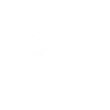 Hippopotamus animal Hippopotamus