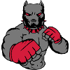 pitbull_fighter_002