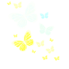 Butterfly Butterfly Butterfly children