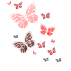 Butterfly Butterfly Butterfly children