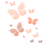 Butterfly Butterfly Butterfly children