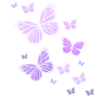 Farfalle Farfalle Farfalla bambini