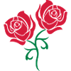 roses