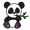 panda