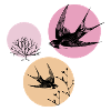 Spring swallows
