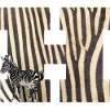 zebra h