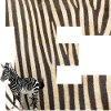 zebra e