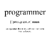 Programmer Definition Dictionary
