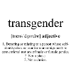 Transgender Definition Dictionary