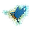 blue hummingbird