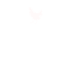 Chicken bird heart