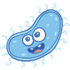 MICROBIOLOGIST: Sweet bacteria