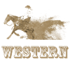 cavalier équitation western