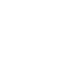 bird attack