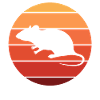 rat