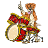 Boxer drums