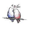 Oiseaux aimants
