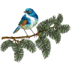 Blue Bird