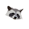 Racoon
