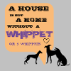 HOME WHIPPETS