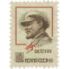 Lanín