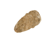 archeology