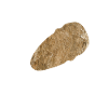 Archéologie archéologue archéologue cadeau