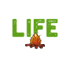Scout camp fire