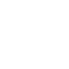 Insecte cerf-volant