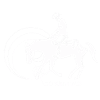 Western Riding | Westernriding | Reining