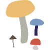champignons