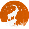 Moon-red Capricorn