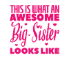 Awesome Big Sister