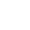 bandit